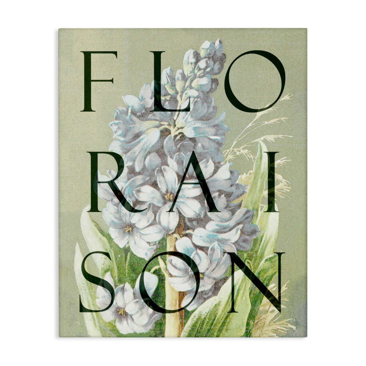 Stupell Industries Blooming French Flower Canvas, design by Lil' Rue